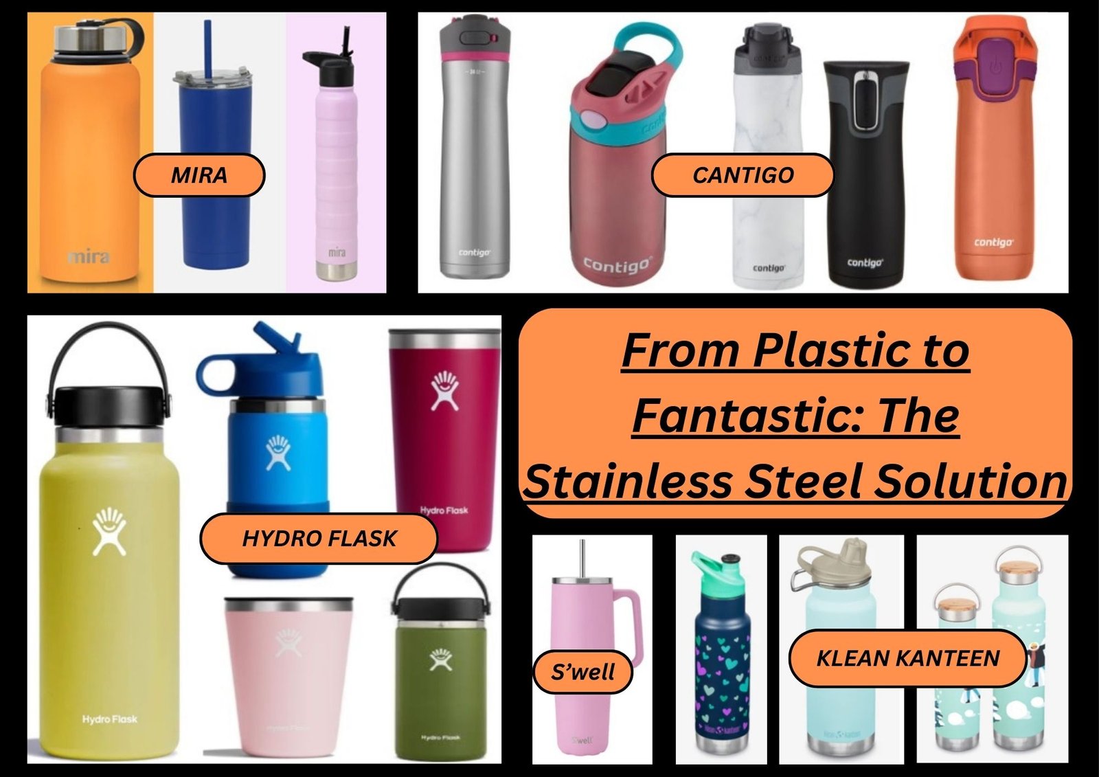 Stainless Steel Water Bottle